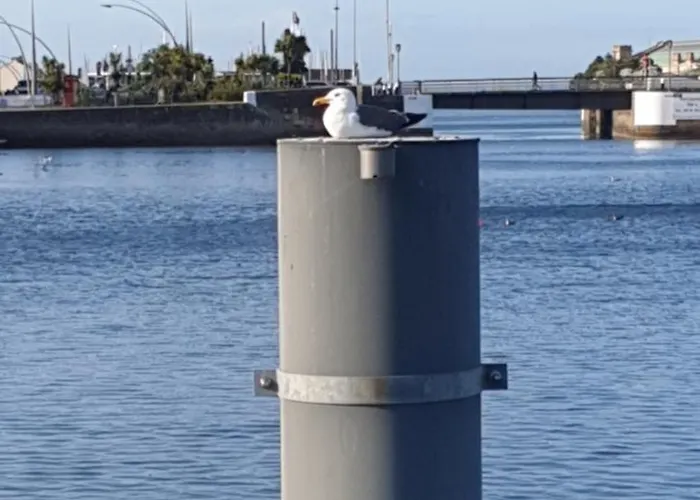 Hotel Le Grand Cherbourg-en-Cotentin